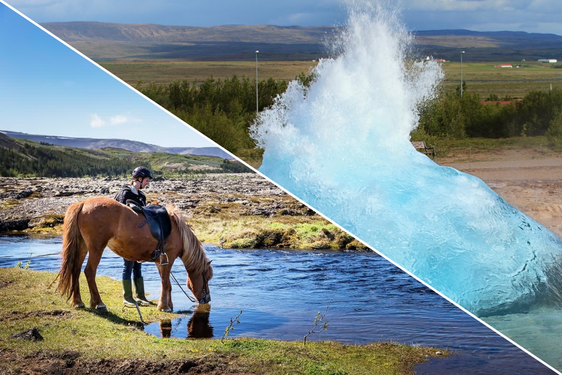 黄金圈＋骑马组合团｜中文讲解器