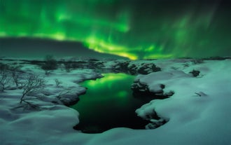 De Noorderlicht Bustocht vanuit Reykjavik