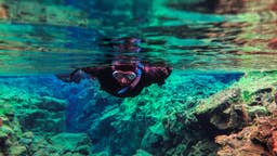 Snorkeling Tours