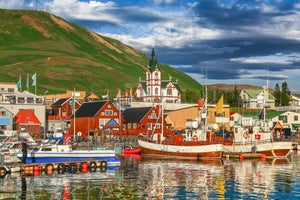 Boat Tours