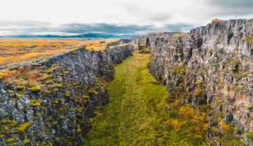 Thingvellir's canyon is brightened by seasonal foliage in autumn