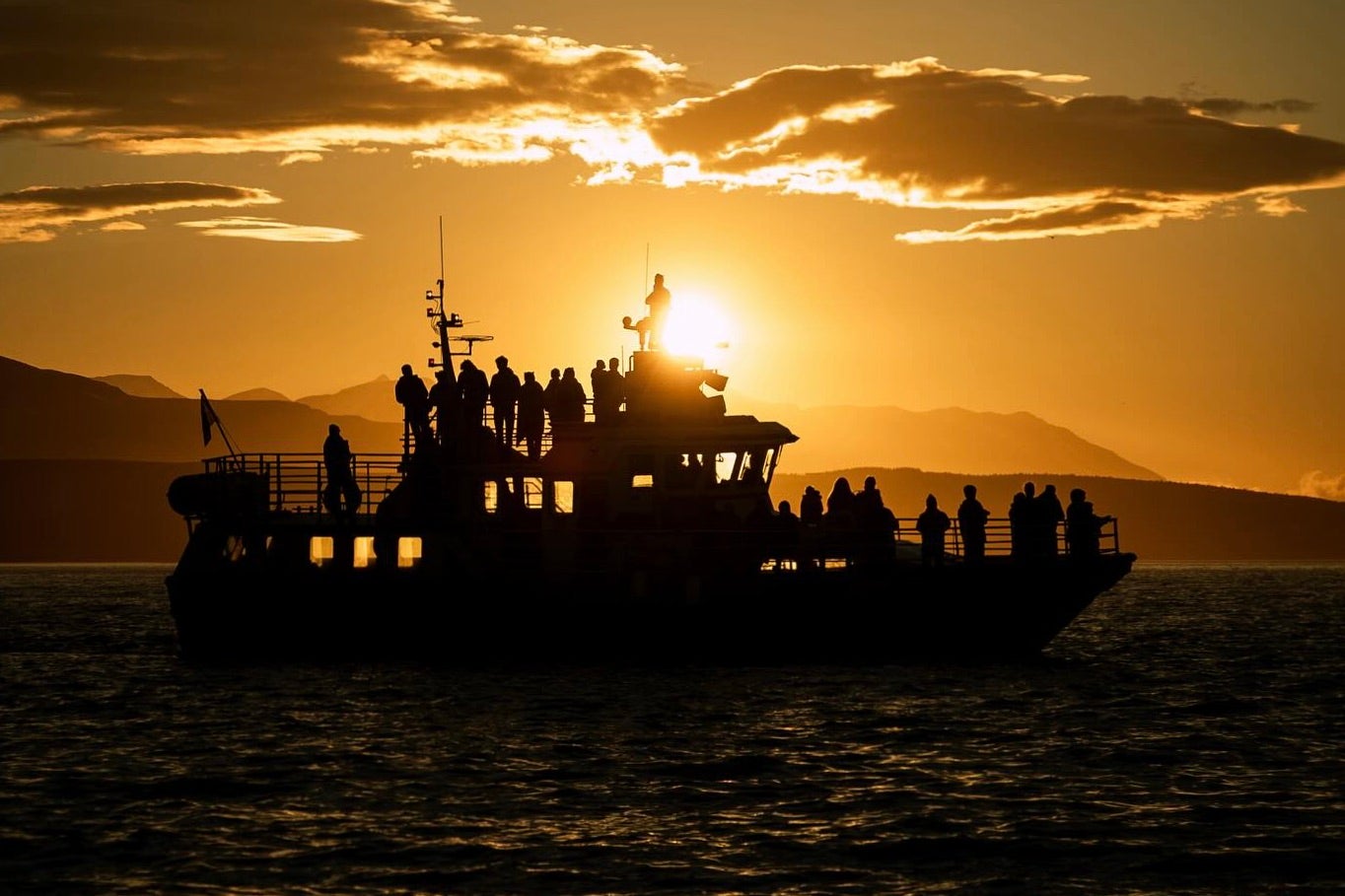 A whale watching boat sailing across the waters of Akureyri under the midnight sun.