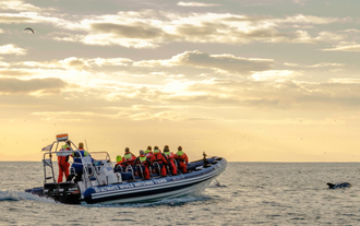 A group on a RIB boat on a whale watching tour from Akureyri.