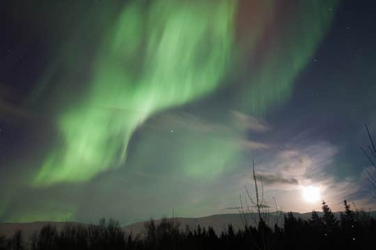 Small Group Lake Myvatn & Godafoss Tour with Northern Lights Hunt from Akureyri