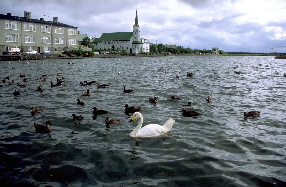 冰岛雷克雅未克托宁湖终极攻略 | Guide to Iceland
