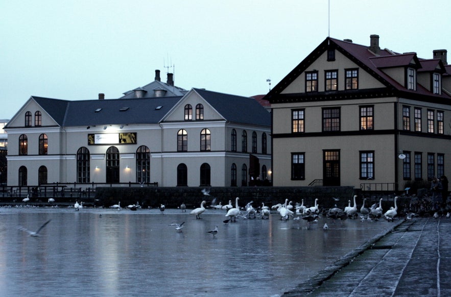 Tjornin is surrounded by cultural buildings.