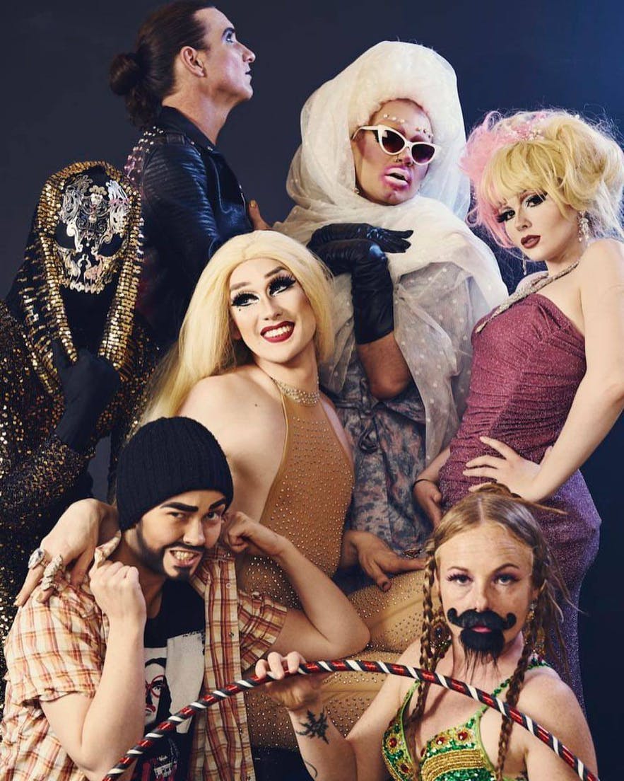 Some of Iceland's eclectic drag troupe.