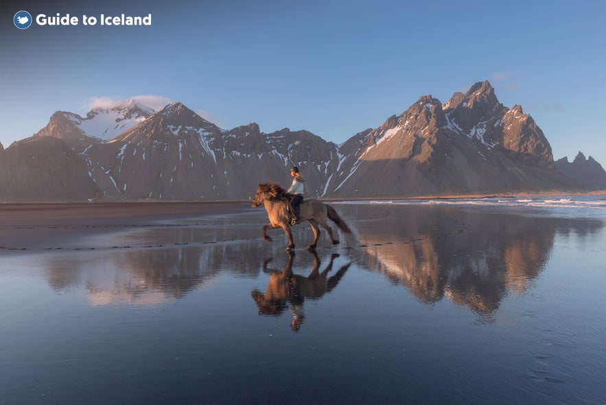 A classic snapshot of Iceland with a horse rider before a beautiful mountain.