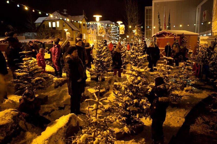 Weihnachtsbaumverkauf in Reykjavik.