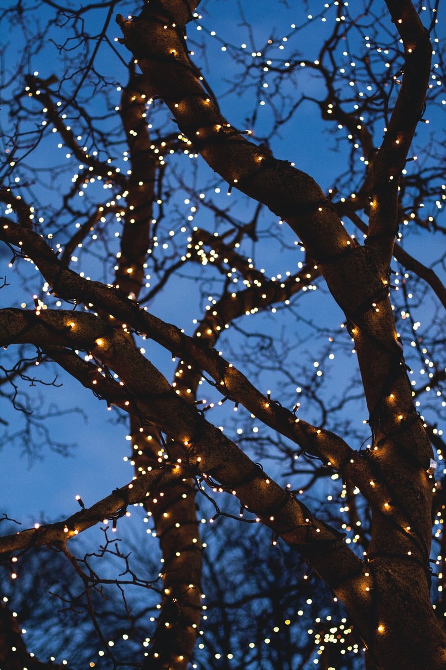 Arbre décoré de lumières de Noël dans Reykjavik.