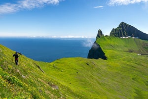 Tours y Excursiones a los Fiordos del Oeste