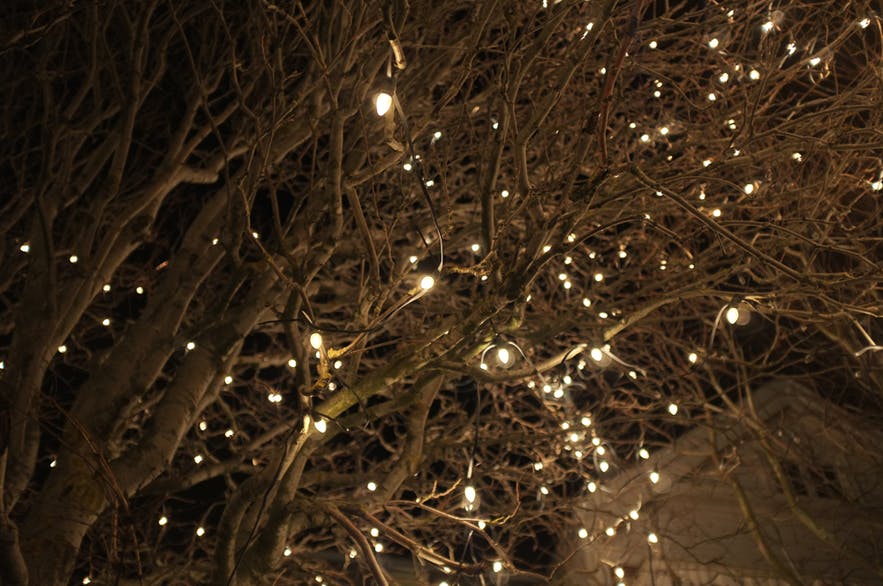 A Christmas tree in Iceland.