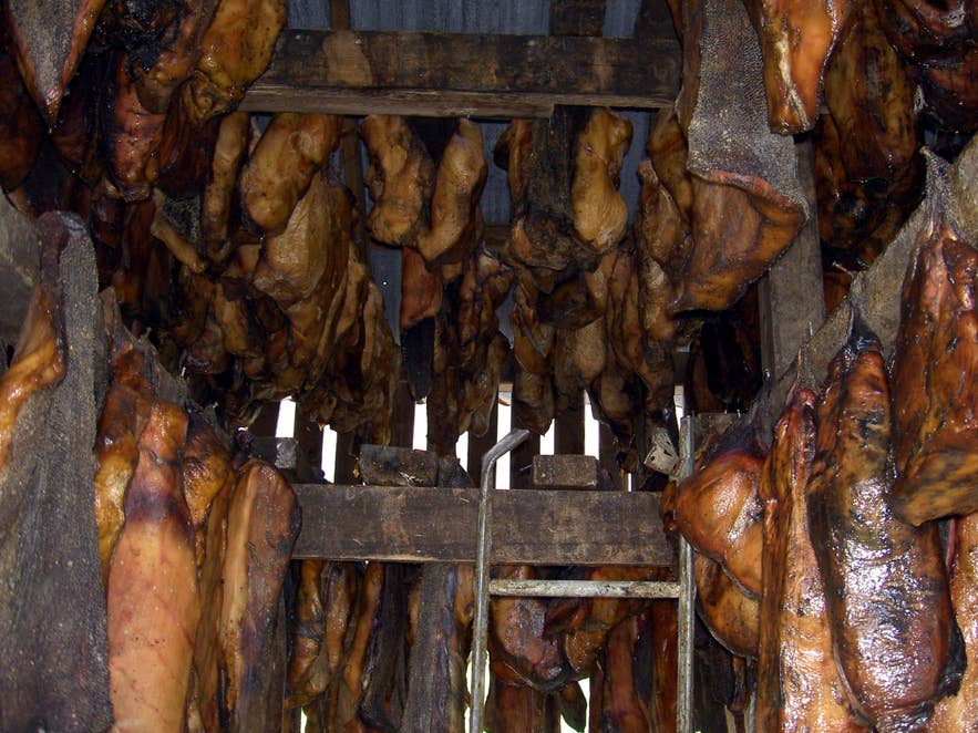 Hakarl oder fermentierter Hai, eine traditionelle isländische Delikatesse.