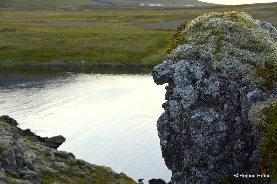 Lava troll in Berserkjahraun lava field Snæfellsnes