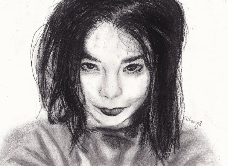 Bjork is Iceland's most famous artist. Bjork is Iceland's most famous artist.