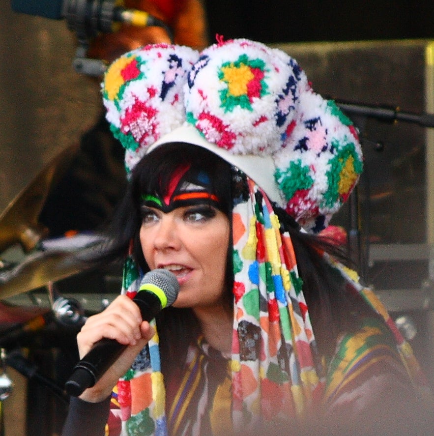 Bjork at the Naturra concert in Iceland.