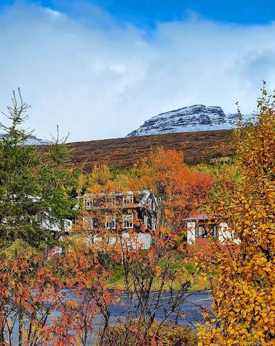 Colorful autumn foliage in Eskifjordur
