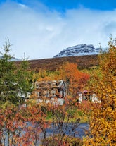 Colorful autumn foliage in Eskifjordur