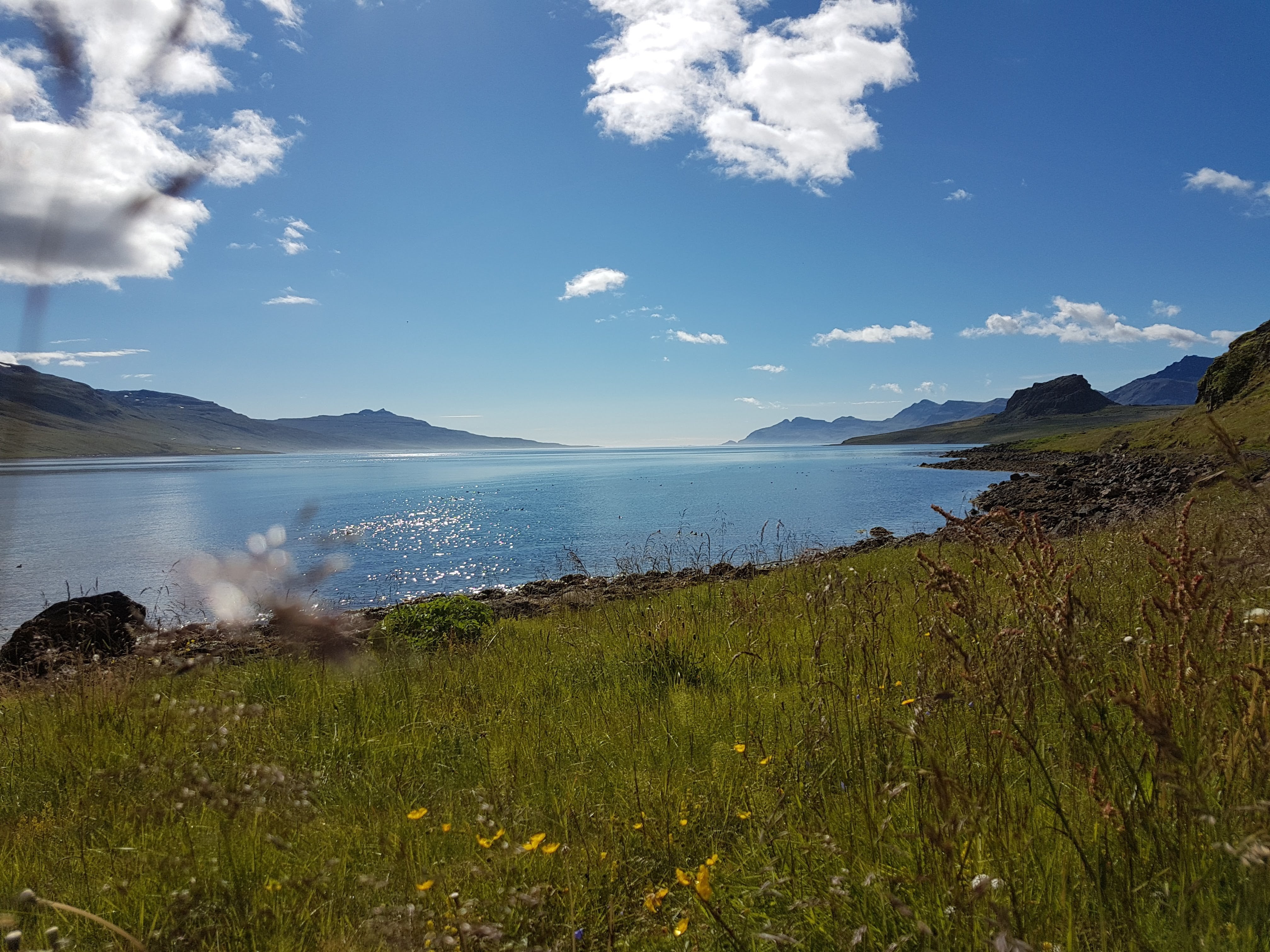 Sunlight reflecting off a fjord in East Iceland during a Holmanes Nature Reserve guided hike.
