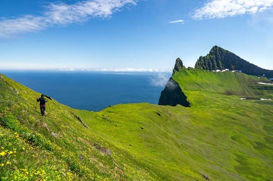 2-Hour Westfjords Boat Ride to Veidileysufjordur from Isafjordur