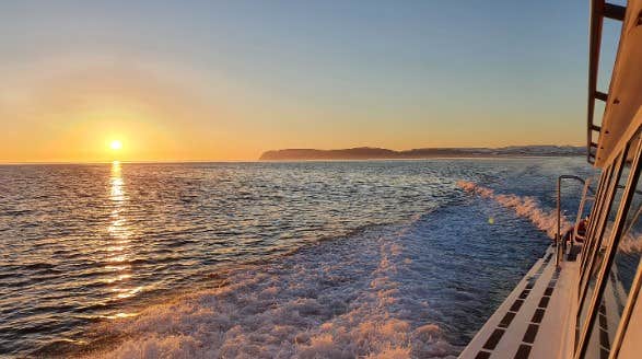 1-Hour Westfjords Boat Ride to Grunnavik from Isafjordur