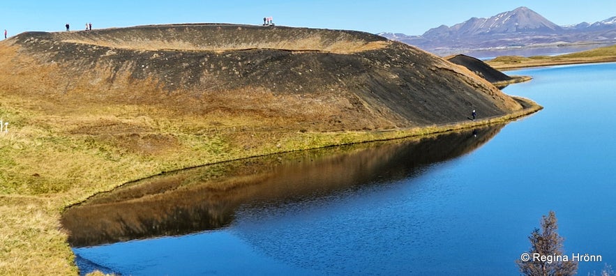 Skútustaðir pseudo craters in the Mývatn area in northeast Iceland Skútustaðir pseudo craters in the Mývatn area in northeast Iceland