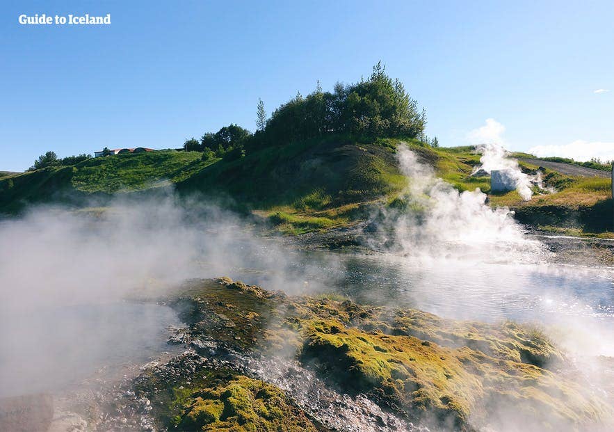 Dampfende, geothermisch beheizte Becken der Secret Lagoon in Fludir, Südisland, umgeben von grünen Hügeln und Dampfaustritten.