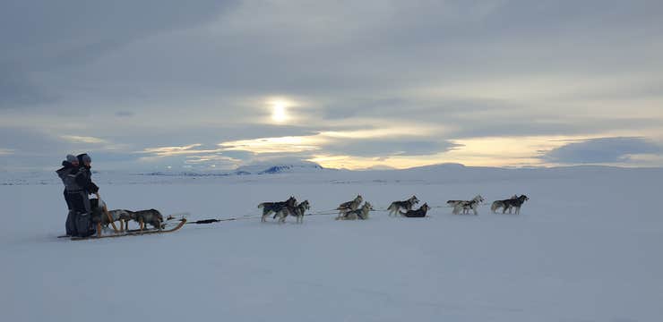 冰岛北部米湖狗拉雪橇旅行团