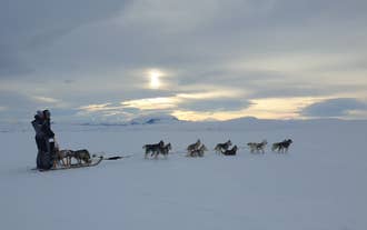 Huskies pulling a dog sled across snowy plains under a winter sky in Myvatn, North Iceland, during a dog sledding tour.