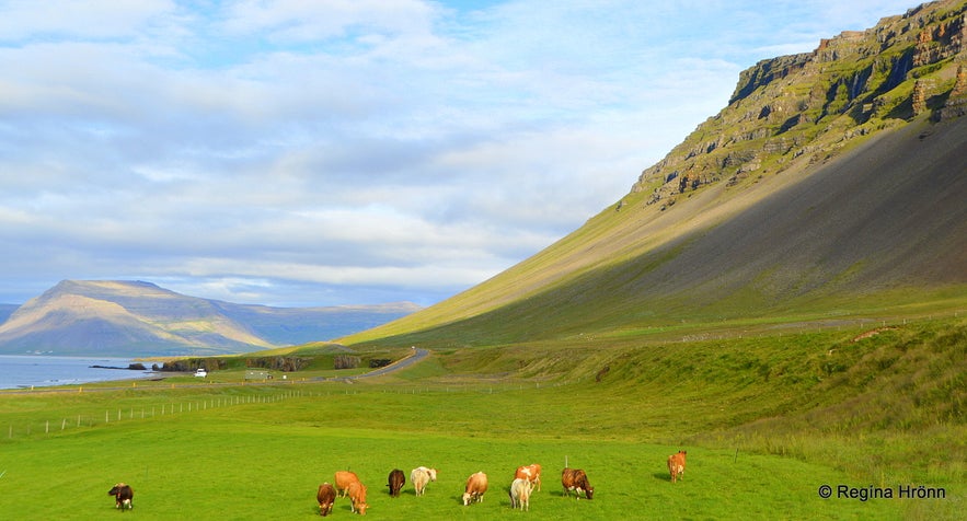 The Spectacular Reiðskörð on Barðaströnd in the Westfjords of Iceland