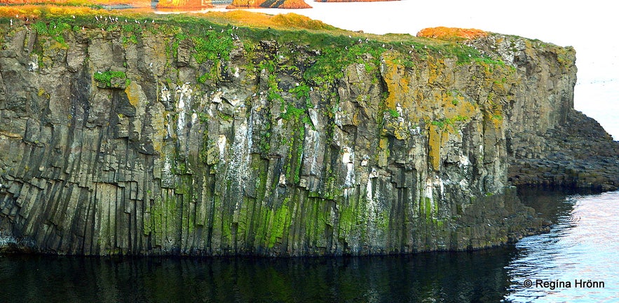 Basalt columns on Grímsey island