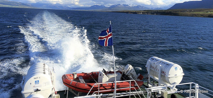 Boat tour to Grímsey island North-Iceland