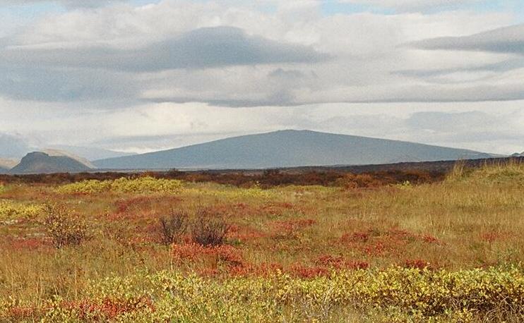 Skjaldbreiður is a shield-shaped volcano in Iceland.
