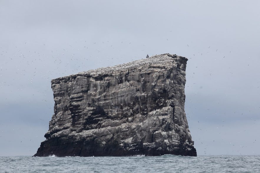 Eldey is an island off the Reykjanes Peninsula.