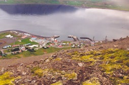 Тингейри