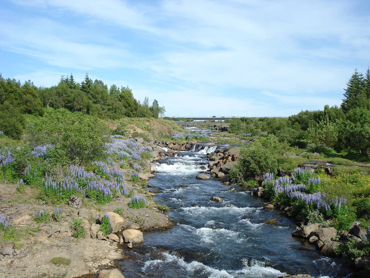 Elliðaá Travel Guide | Guide to Iceland