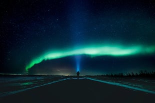 The Northern Lights arch over a road in Reykjavik.