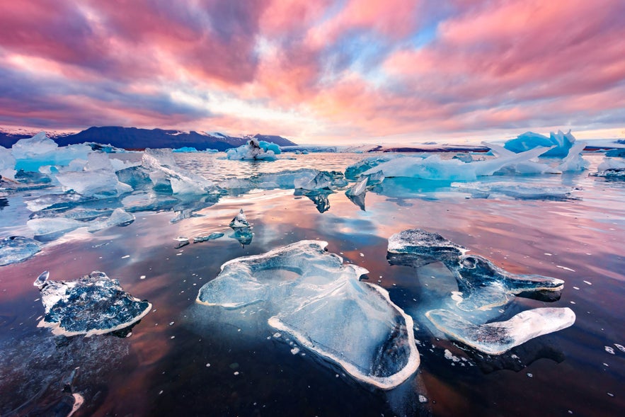 Kristallklare Eisberge treiben in der Gletscherlagune Jökulsarlon in Island bei Sonnenuntergang, mit leuchtend pinken und orangefarbenen Wolken, die sich auf dem ruhigen Wasser und den fernen Bergen spiegeln.