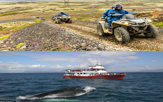 8-Hour ATV & Whale Watching Combo Tour with Transfer from Reykjavik