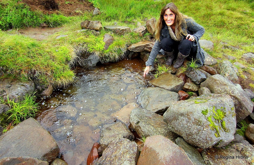 Regína by Rauðamelsölkelda Snæfellsnes