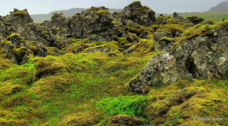 Lava field by Rauðamelsölkelda