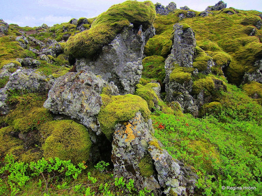 Lava field by Rauðamelsölkelda