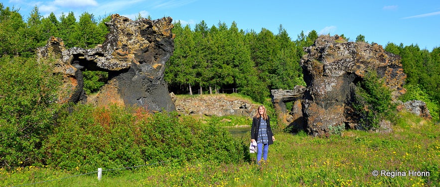 Regína by Klasar at Kálfastrandavogar Mývatn