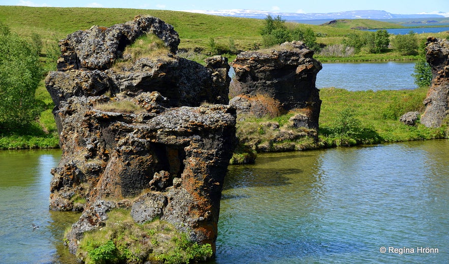 Klasar at Kálfastrandavogar Mývatn