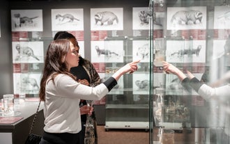 Tickets voor het Penismuseum