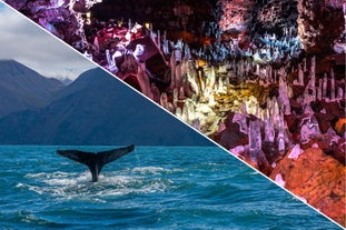 Exhilarating 7-Hour Lava Caving and Whale-Watching Combo Tour from Reykjavik