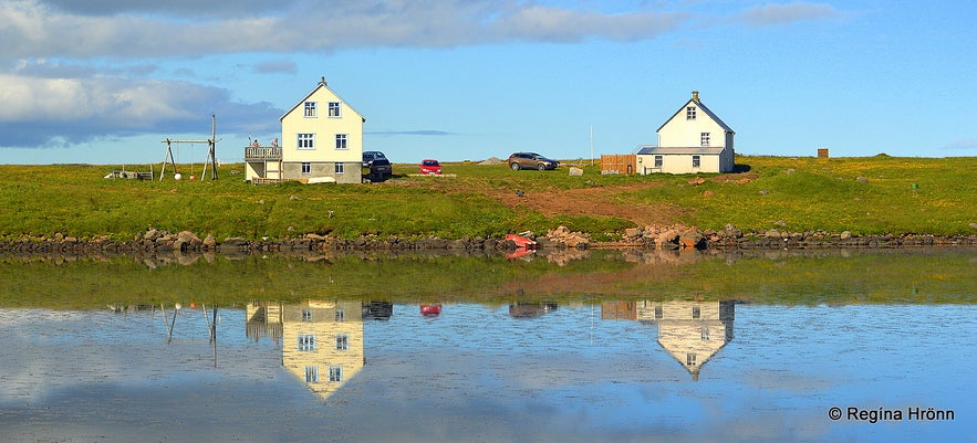 Melrakkaslétta NE-Iceland