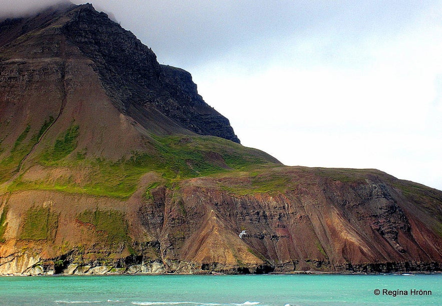 The view from Njarðvíkurskriður - Borgarfjörður-Eystri