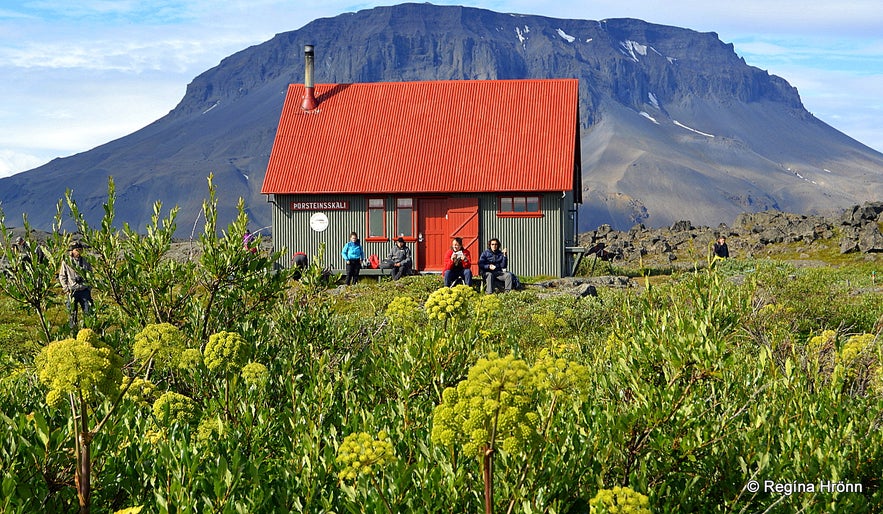 Herðubreiðalindir oasis and Mt. Herðubreið