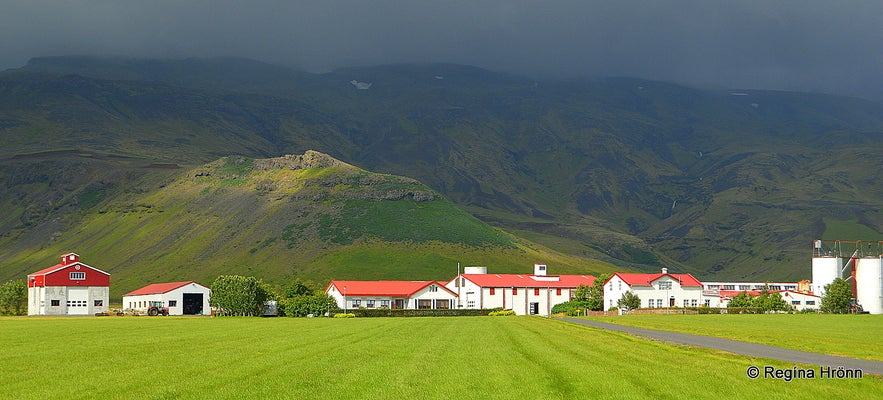 Þorvaldseyri farm South-Iceland